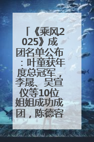 《乘风2025》成团名单公布：叶童获年度总冠军，李晟、吴宣仪等10位姐姐成功成团，陈德容获年度高光人物