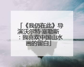 《我仍在此》导演沃尔特·塞勒斯：我喜欢中国山水画的留白