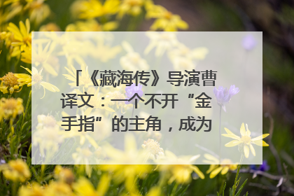《藏海传》导演曹译文：一个不开“金手指”的主角，成为苍生守护者