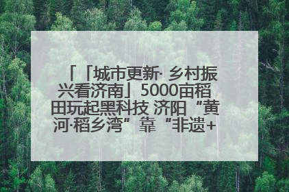 「城市更新· 乡村振兴看济南」5000亩稻田玩起黑科技 济阳“黄河·稻乡湾”靠“非遗+露营”火出圈