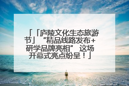 「庐陵文化生态旅游节」“精品线路发布+研学品牌亮相” 这场开幕式亮点纷呈！