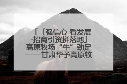 「强信心 看发展·招商引资拼落地」高原牧场“牛”劲足——甘肃华予高原牧场高标准奶牛肉牛养殖项目一线见闻