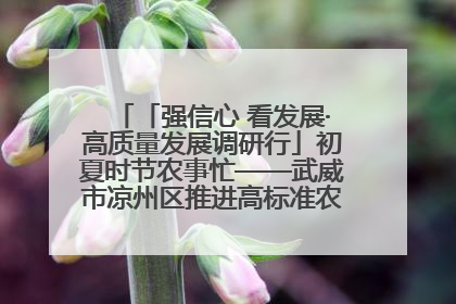 「强信心 看发展·高质量发展调研行」初夏时节农事忙——武威市凉州区推进高标准农田建设见闻
