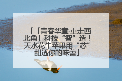「青春华章·重走西北角」科技“智”造！天水花牛苹果用“芯”甜透你的味蕾