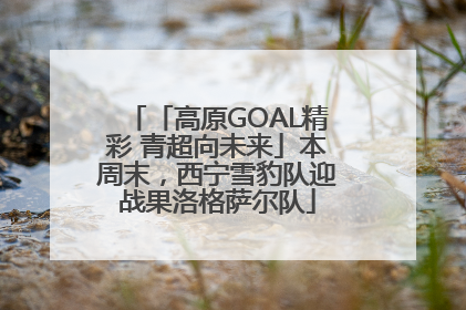 「高原GOAL精彩 青超向未来」本周末，西宁雪豹队迎战果洛格萨尔队