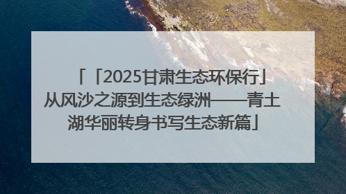 「2025甘肃生态环保行」从风沙之源到生态绿洲——青土湖华丽转身书写生态新篇