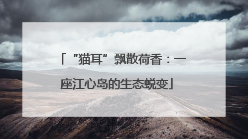 “猫耳”飘散荷香：一座江心岛的生态蜕变