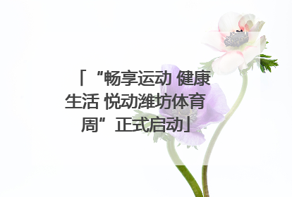 “畅享运动 健康生活 悦动潍坊体育周”正式启动