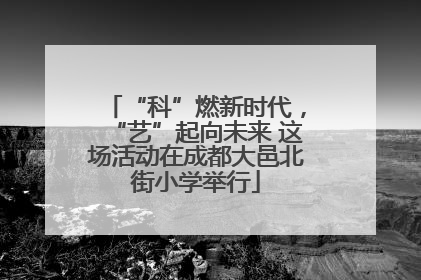 “科”燃新时代，“艺”起向未来 这场活动在成都大邑北街小学举行