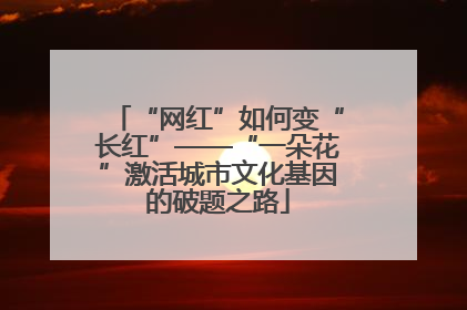 “网红”如何变“长红”——“一朵花”激活城市文化基因的破题之路