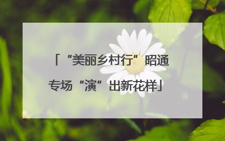 “美丽乡村行”昭通专场“演”出新花样