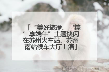 “美好旅途、‘粽’享端午”主题快闪在苏州火车站、苏州南站候车大厅上演
