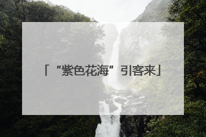 “紫色花海”引客来
