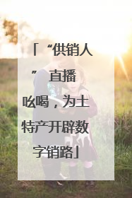 “供销人” 直播 吆喝，为土特产开辟数字销路