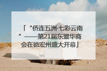 “侨连五洲·七彩云南”——第21届东盟华商会在德宏州盛大开幕