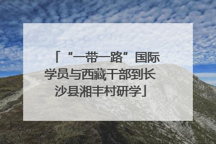 “一带一路”国际学员与西藏干部到长沙县湘丰村研学