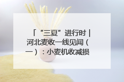 “三夏”进行时｜河北麦收一线见闻（一）：小麦机收减损“竞技” 农机高手麦田“过招”