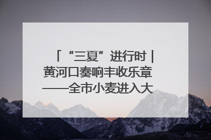 “三夏”进行时｜黄河口奏响丰收乐章——全市小麦进入大面积收获高峰期