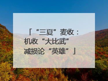 “三夏”麦收：机收“大比武” 减损论“英雄”