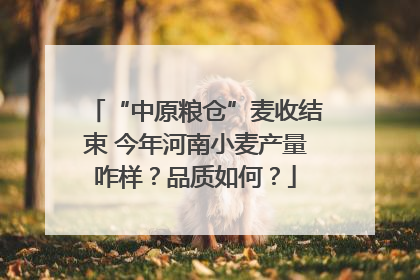 “中原粮仓”麦收结束 今年河南小麦产量咋样？品质如何？