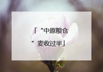 “中原粮仓”麦收过半