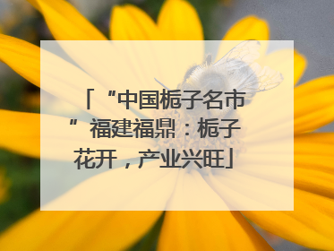 “中国栀子名市”福建福鼎：栀子花开，产业兴旺