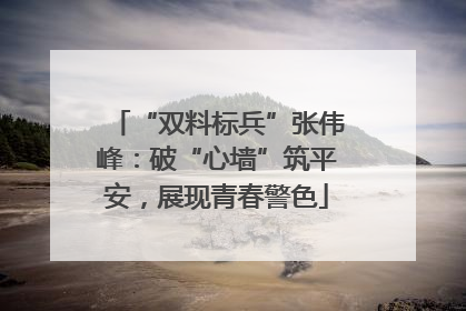 “双料标兵”张伟峰：破“心墙”筑平安，展现青春警色
