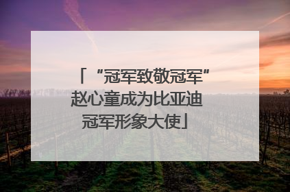 “冠军致敬冠军” 赵心童成为比亚迪冠军形象大使