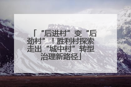 “后进村”变“后劲村”！胜利村探索走出“城中村”转型治理新路径