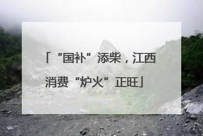 “国补”添柴，江西消费“炉火”正旺