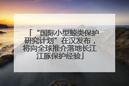 “国际小型鲸类保护研究计划”在汉发布，将向全球推介落地长江江豚保护经验