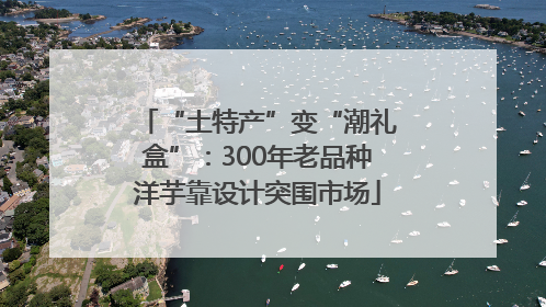 “土特产”变“潮礼盒”：300年老品种洋芋靠设计突围市场