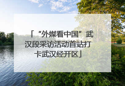 “外媒看中国”武汉段采访活动首站打卡武汉经开区