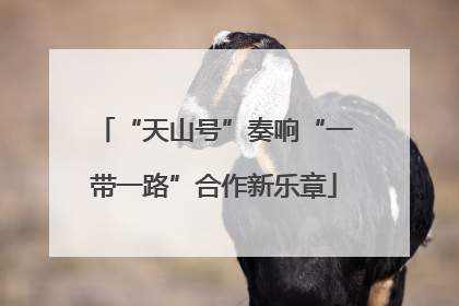 “天山号”奏响“一带一路”合作新乐章
