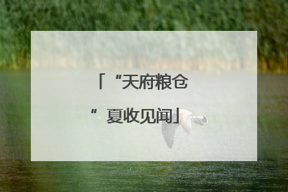 “天府粮仓”夏收见闻