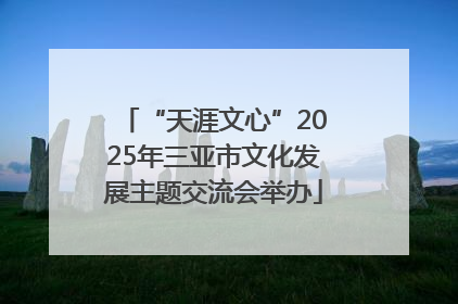 “天涯文心”2025年三亚市文化发展主题交流会举办