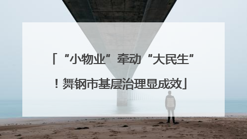 “小物业”牵动“大民生”！舞钢市基层治理显成效