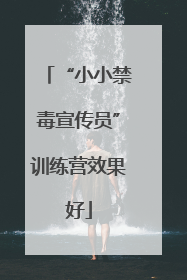 “小小禁毒宣传员”训练营效果好