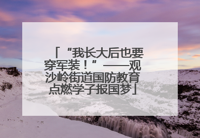 “我长大后也要穿军装！”——观沙岭街道国防教育点燃学子报国梦