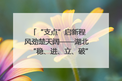 “支点”启新程 风劲楚天阔——湖北“稳、进、立、破”谱写“荆”彩篇章