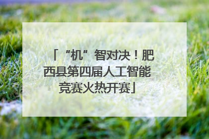 “机”智对决！肥西县第四届人工智能竞赛火热开赛