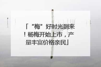 “梅”好时光到来！杨梅开始上市，产量丰富价格亲民