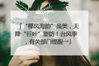 “椰风海韵”虽美，天降“巨叶”要防！台风季，有关部门提醒→