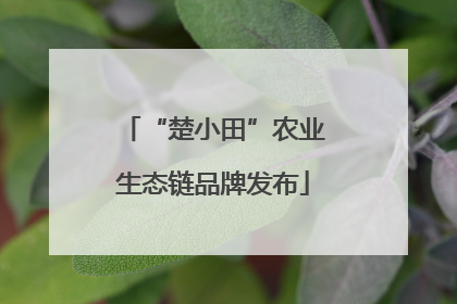 “楚小田”农业生态链品牌发布