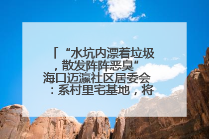 “水坑内漂着垃圾，散发阵阵恶臭” 海口迈瀛社区居委会：系村里宅基地，将派人打捞垃圾