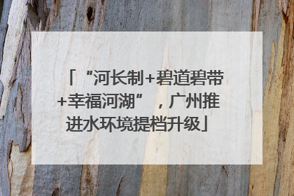 “河长制+碧道碧带+幸福河湖”，广州推进水环境提档升级