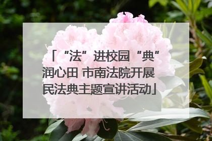 “法”进校园“典”润心田 市南法院开展民法典主题宣讲活动