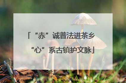 “赤”诚普法进茶乡 “心”系古镇护文脉