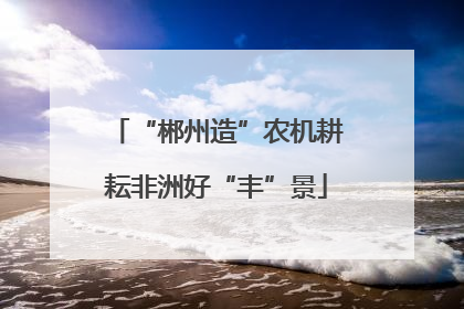 “郴州造”农机耕耘非洲好“丰”景