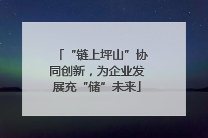 “链上坪山”协同创新，为企业发展充“储”未来